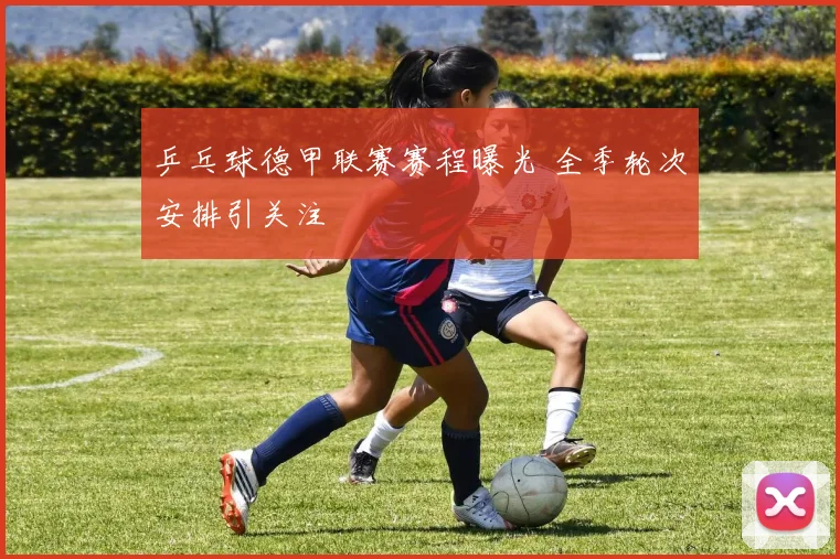 乒乓球德甲联赛赛程曝光 全季轮次安排引关注