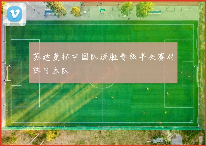 苏迪曼杯中国队连胜晋级半决赛对阵日本队