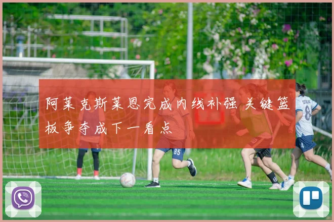 阿莱克斯莱恩完成内线补强 关键篮板争夺成下一看点