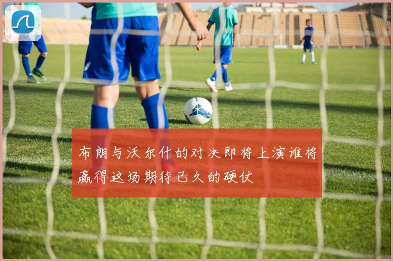 布朗与沃尔什的对决即将上演谁将赢得这场期待已久的硬仗